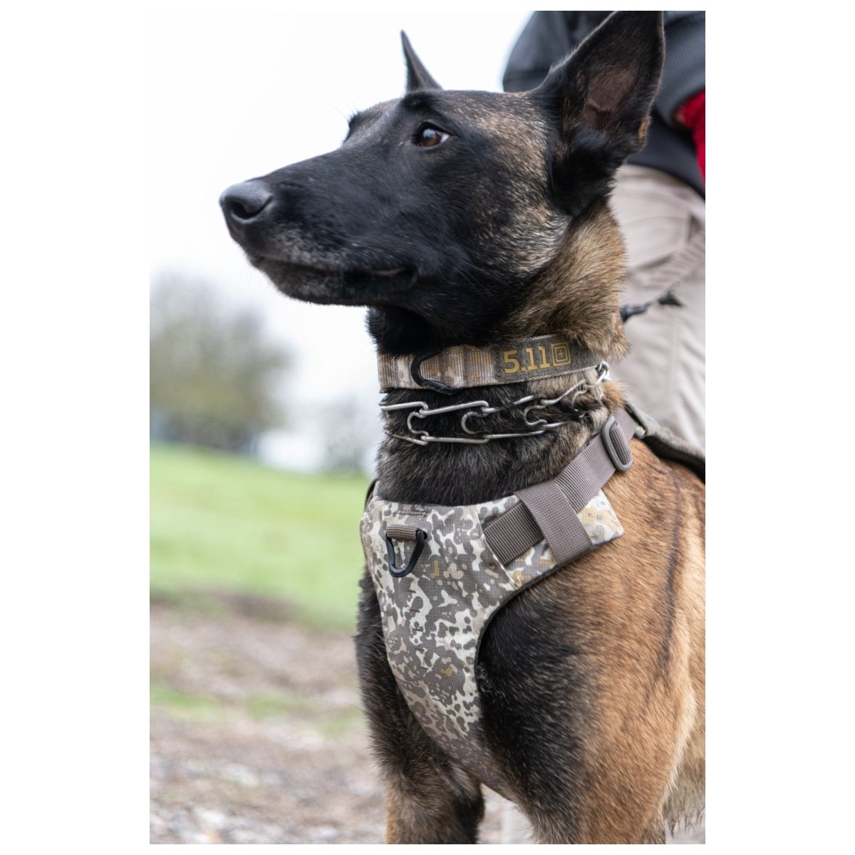 HARNESS 5.11 PARA PERRO - MISSIONREADY - Risk Top Tactical