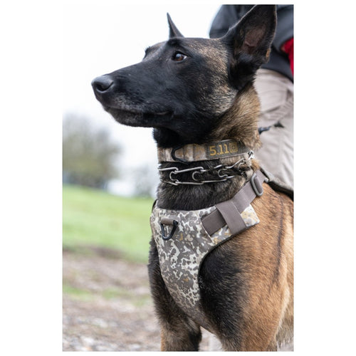 HARNESS 5.11 PARA PERRO - MISSIONREADY - Risk Top Tactical