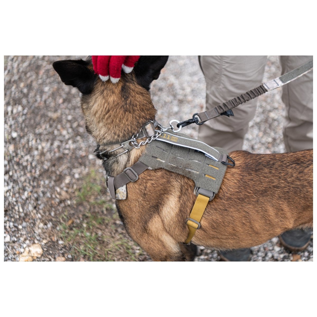 HARNESS 5.11 PARA PERRO - MISSIONREADY - Risk Top Tactical